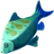 Bilge Balığı